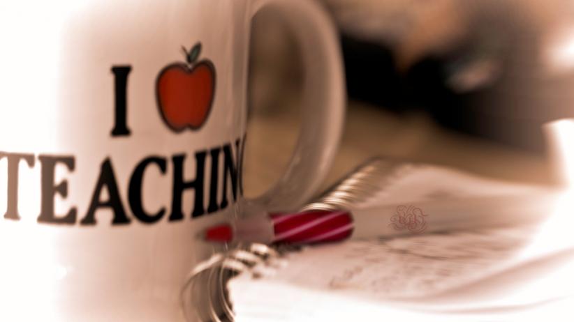 I love teacher mug, teacher development spain