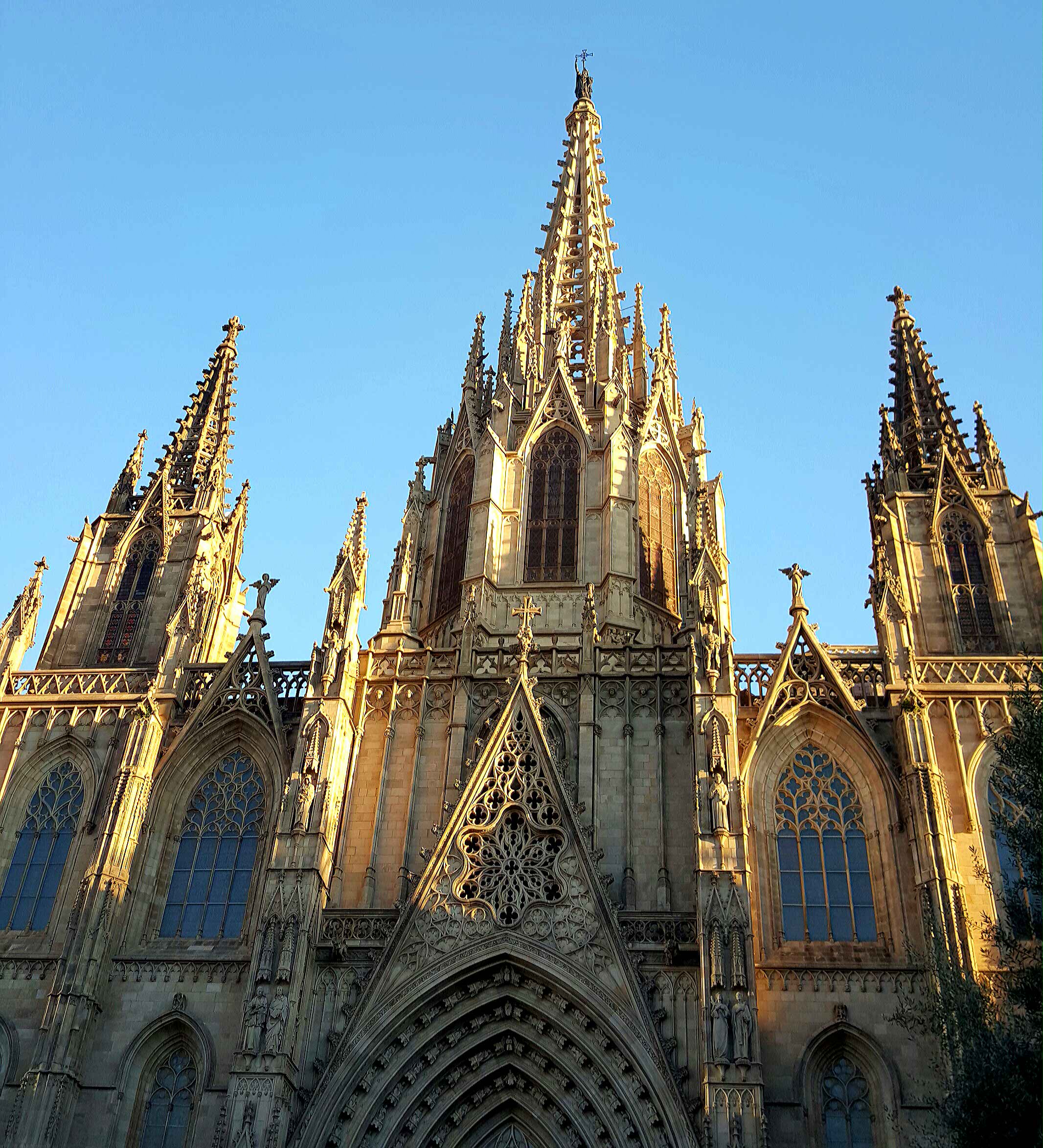 My Experience with TEFL in Barcelona - By Jessie Conroy
