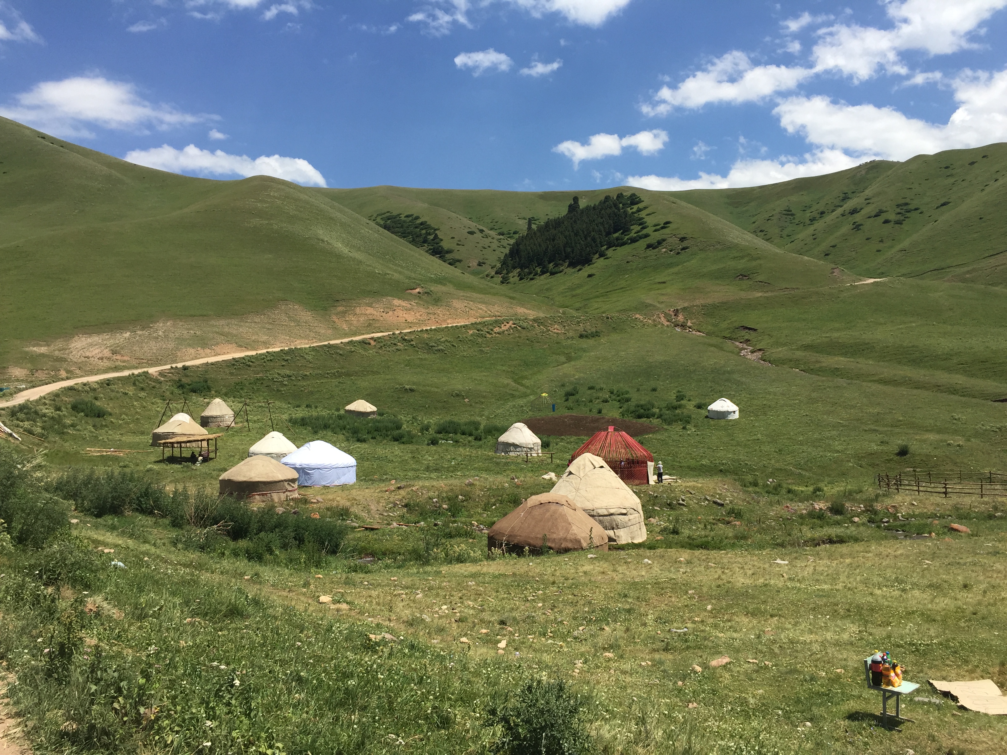 Life as an EFL teacher in Kazakhstan is peaceful like the rural nature of the country.